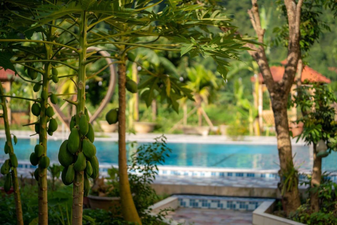 Tan Dinh Farmstay Ninh Binh Eksteriør bilde