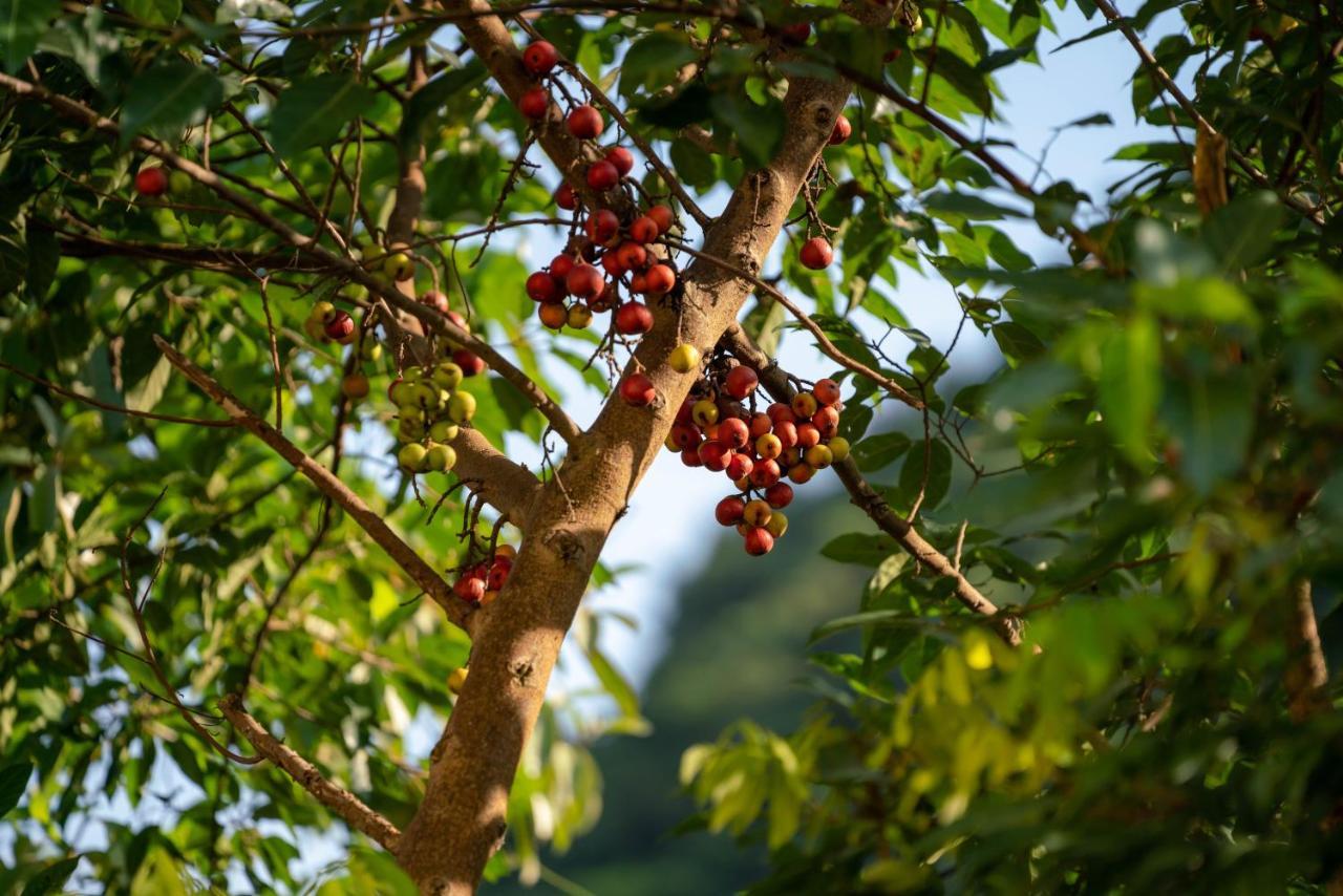 Tan Dinh Farmstay Ninh Binh Eksteriør bilde