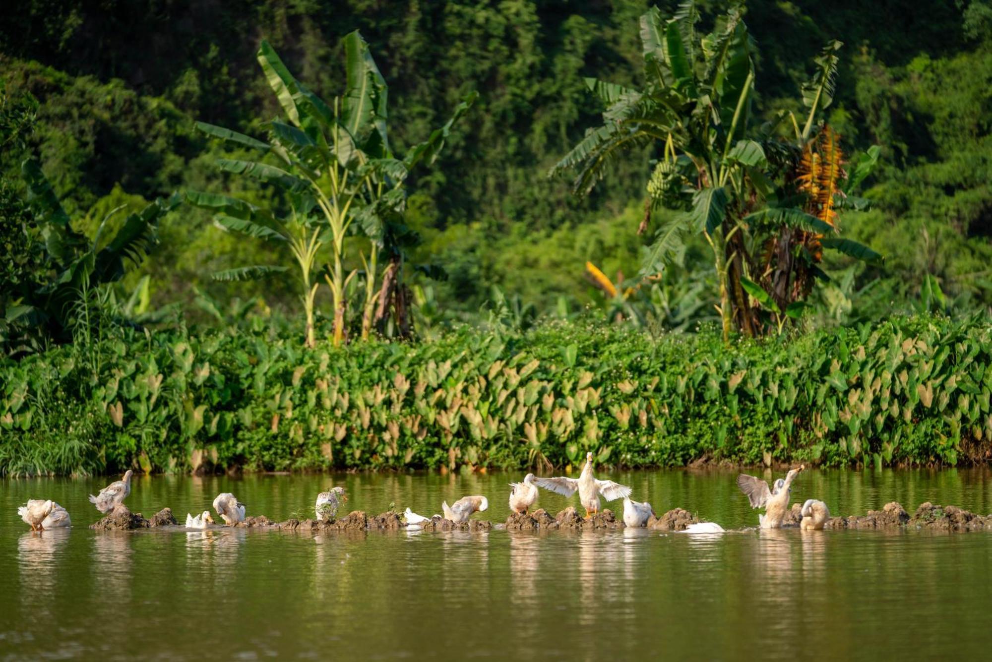 Tan Dinh Farmstay Ninh Binh Eksteriør bilde