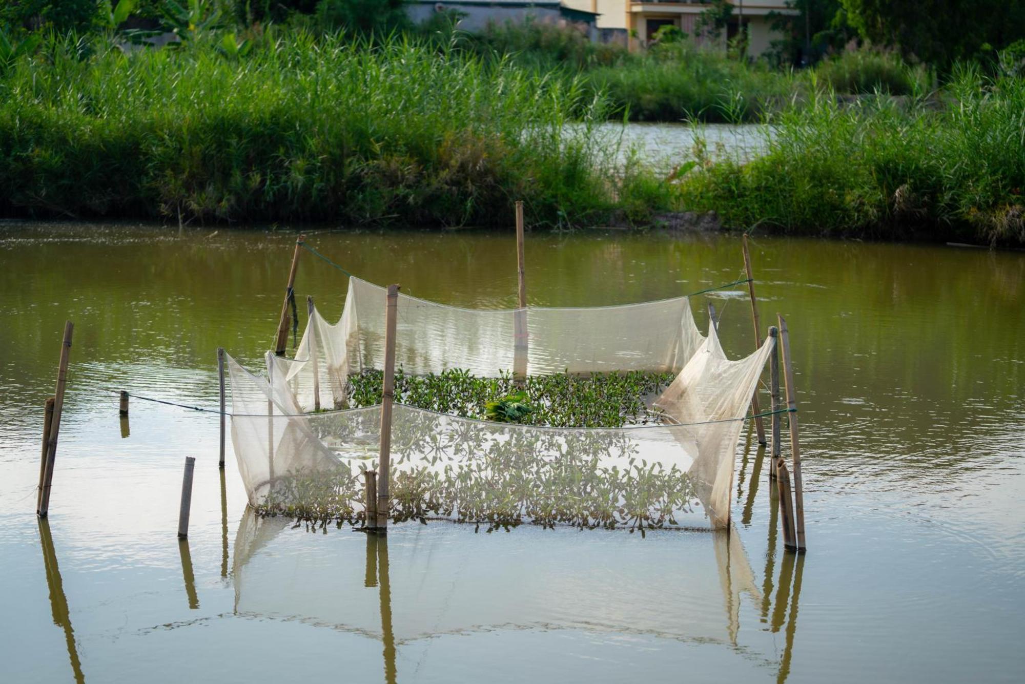 Tan Dinh Farmstay Ninh Binh Eksteriør bilde